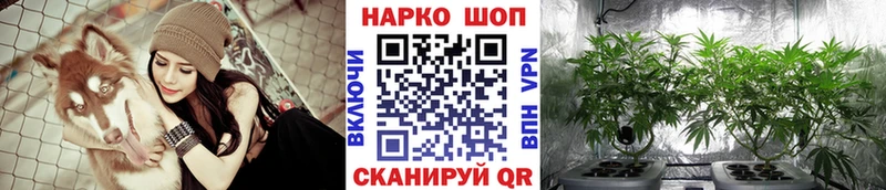 Наркотические вещества Заполярный А ПВП Псилоцибиновые грибы ГАШИШ Бутират Амфетамин Cocaine МЕФ Бошки Шишки