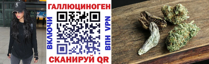 Псилоцибиновые грибы Cubensis  Заполярный 